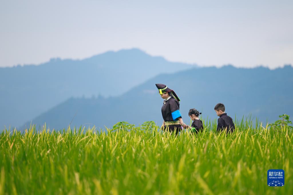 me平台下载